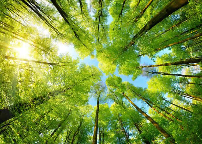 Protecting the environment